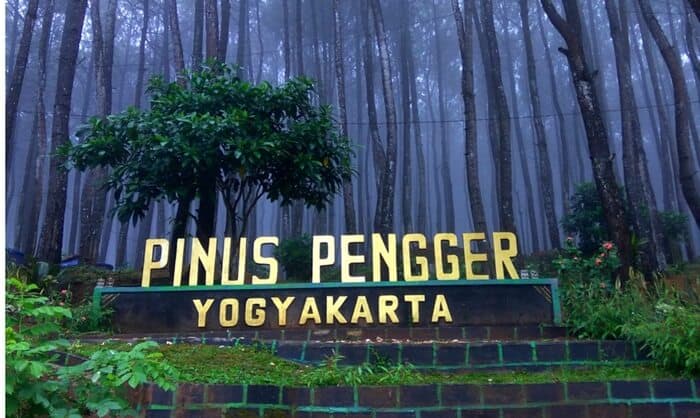 Hutan Pinus Pengger